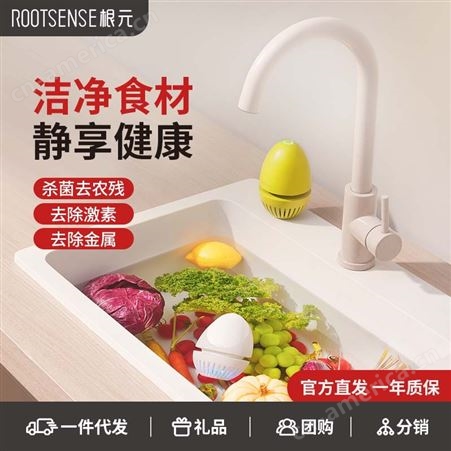 RootSense根元家用无线果蔬清洗机净化器蔬菜水果洗菜食材消毒洗肉神器