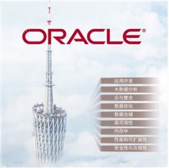 oracle数据库企业版甲骨文数据库企业版ORACLE RAC集群11G//21C