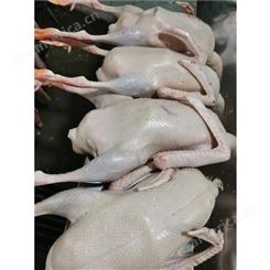 新鲜老鹅爪 菜式多样 脂肪含量低 是草食性家禽
