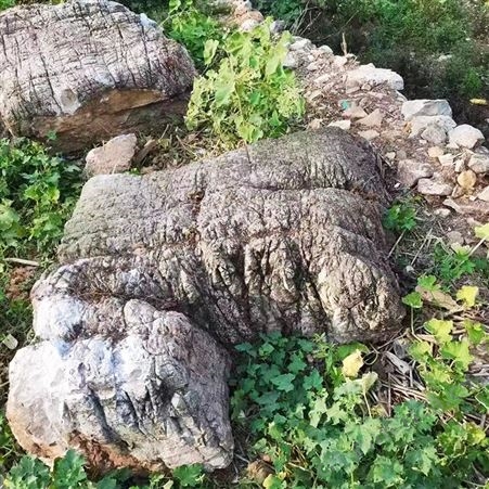 小区假山景观塑石 黄龟纹石 生态园大门造景工程 石料批发