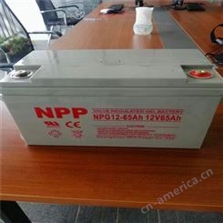 耐普NPP蓄电池直流屏12v65ah免维护机房电力NPG12-65参数规格