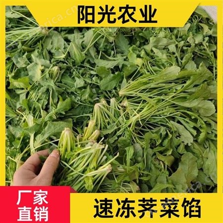 阳光农业 支持OEM代工 荠菜 香气四溢 冷冻蔬菜包子饺子料