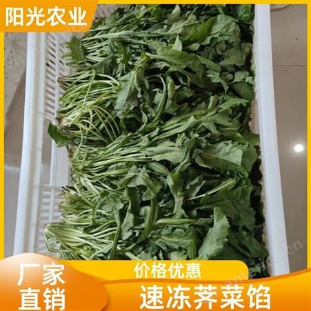 阳光农业 支持OEM代工 荠菜 营养丰富 混沌水饺包子料