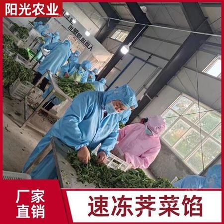 加工方便 荠菜 耐贮不易变质 水饺馅冻农产食品 阳光农业