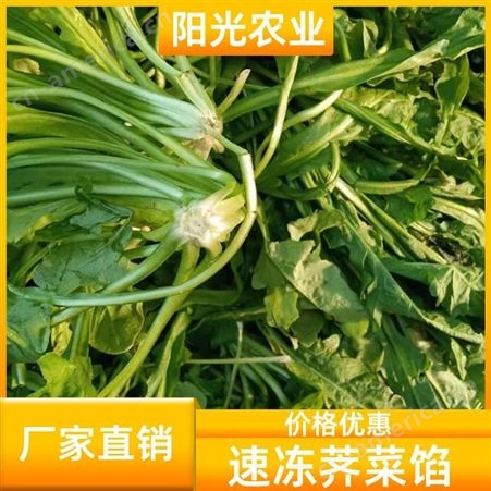 阳光农业 方便实用 速冻荠菜 富含营养 冷冻蔬菜包子饺子料