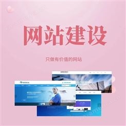 石家庄网站定制开发公司宣传站建设制作会员商城平台搭建