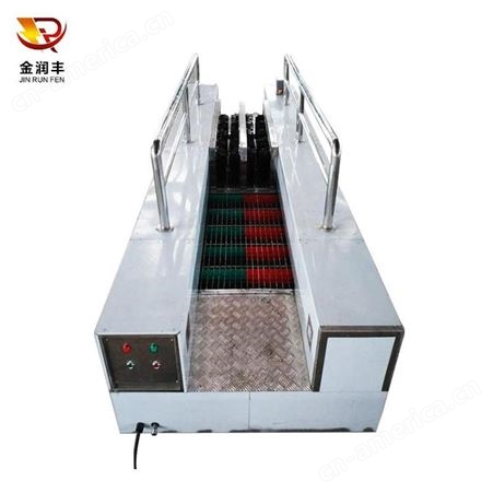 RFCX-100邢台食品厂洗靴机润丰电气