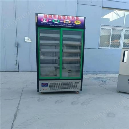 凝固型智能酸奶柜 一物多用 大容量酸奶发酵箱 自动一体大型