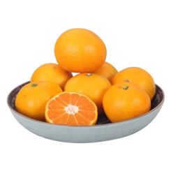 橘子新鲜桔子高山蜜桔无籽蜜橘桔子批发应季鲜果一件代发10斤